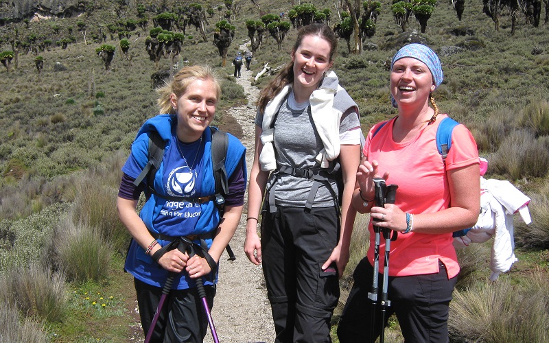 climbing Mount Kenya involves lots of walking through terrain where the vegetation becomes progressively more sparse