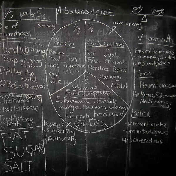 a balanced diet must include carbohydrates, lipids and proteins along with nutrients like iron, iodine and vitamin A