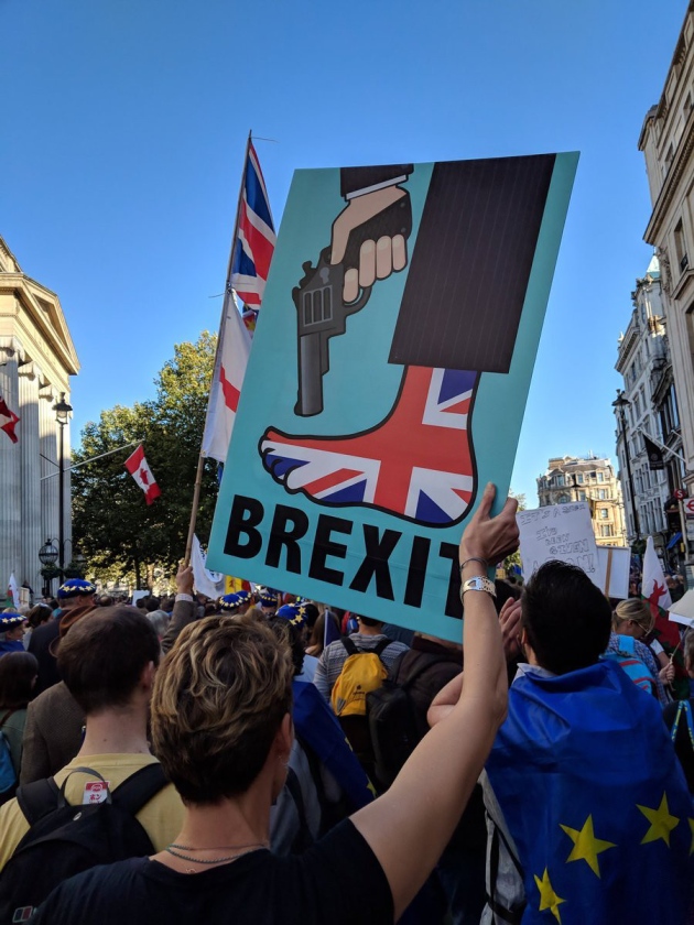 britain shooting itself in the foot, a sign at the People's Vote March