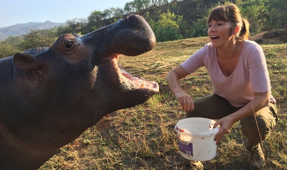 The Unexpected Truth about Animals by Lucy Cooke